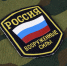 Рогов: российские войска начали наступление в сторону сел Нескучное и Времевка - РТВ-Подмосковье