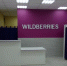 Компания Wildberries запускает продажу алкогольной продукции - GlobalMSK.Ru