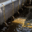 Оборудование для очистки воды будут производить в Солнечногорске - MosRegToday.Ru