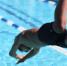 World Aquatics запретила публиковать результаты россиян на ЧМ-2024 - MosRegToday.Ru