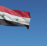 Новые власти Сирии хотят заключить соглашения об обороне с рядом государств - РТВ-Подмосковье
