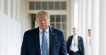 «Мы должны остановить это»: Трамп намерен провести переговоры с Путиным и Зеленским