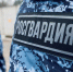 В Подмосковье сотрудники Росгвардии пресекли кражу из сетевого гипермаркета - Росгвардия