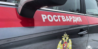 За прошедшую неделю подмосковные росгвардейцы выезжали более 600 раз по сигналам «Тревога» с охраняемых объектов - Росгвардия