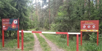 В Подмосковье за год более 50 тыс. раз предупредили о лесных пожарах - РТВ-Подмосковье