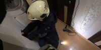 Спасатели вытащили кота из вентиляционной шахты жилого дома в Балашихе - MosRegToday.Ru