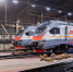 ЦППК назначит более 200 дополнительных поездов в дни новогодних праздников - РТВ-Подмосковье