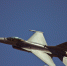 Глава «ФОРЭС» выплатит 15 млн за сбитый истребитель F-16 в Запорожье - РТВ-Подмосковье