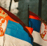 Телеканал RT Balkan начал вещание на сербском языке - MosRegToday.Ru