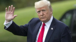 Зеленский пожаловался, что Трамп не пригласил его на свою инаугурацию