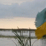 Рубио: у Украины уже заканчиваются украинцы - MosRegToday.Ru