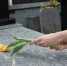 В пригороде Парижа в возрасте 66 лет умер легендарный джазмен Абдулай Диабате - MosRegToday.Ru