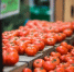 Россияне бросились скупать кетчуп и томатную продукцию - MosRegToday.Ru