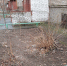 ЛЫТКАРИНСКИМ ЛИСТЬЯМ НЕ ОСТАВИЛИ ШАНСОВ - Экооборона Московской области