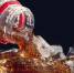 В Россию может вернуться оригинальная Coca-Cola - Вести Подмосковья
