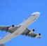 Авиаконцерн Boeing захотел вернуться на рынок России - MosRegToday.Ru
