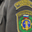 В Подмосковье Гостехнадзор поймал фальшивых трактористов-машинистов - Regions.Ru
