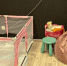В столичном антикафе с маленькими свинками «PiggyPlace» нашли нарушения - MosRegToday.Ru