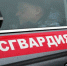 В Подмосковье сотрудники Росгвардии задержали подозреваемого в незаконном проникновении на территорию аптечного пункта - Росгвардия