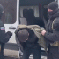 видео ГСУ СК России по Московской области - Следственный комитет