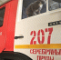 В День кошек пожарные Подмосковья рассказали о своей пушистой помощнице Синди - Regions.Ru