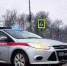 В Подмосковье сотрудники Росгвардии задержали гражданку, находящуюся в федеральном розыске - Росгвардия