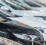 Geely и Changan стали самыми популярными китайскими автомобилями у угонщиков - Regions.Ru