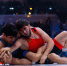 Олимпийский чемпион из Подмосковья победил на турнире PWL 8 - Regions.Ru