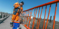 В Подмосковье восстановили ограждения на дорогах в 10 округах - Regions.Ru