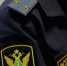 В Подмосковье родителей обязали дать ребенку основное общее образование - Вести Подмосковья