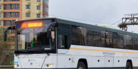 В Подмосковье подготовили 29 автобусных маршрутов к известным музеям - Regions.Ru