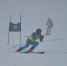 Подмосковные горнолыжники выиграли шесть наград чемпионата России среди глухих - РТВ-Подмосковье