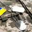 Бригада ВСУ не стала выполнять приказ командования на границе с Белгородской областью - РТВ-Подмосковье