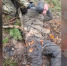 В Сети опубликовали видео с еще одним британцем, взятым в плен под Курском - MosRegToday.Ru