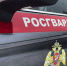 Подмосковные росгвардейцы предотвратили за неделю 2 тыс. преступлений - Regions.Ru