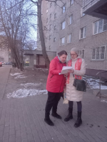 Народный референдум в Электростали