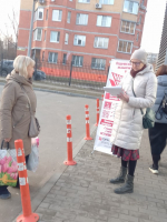 Народный референдум в Электростали