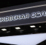 Российские рекорды Подмосковья: от массовой сдачи ГТО до коллекции пластилина - Вести Подмосковья