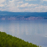 сommons.wikimedia/Max Dawncat - MosRegToday.Ru