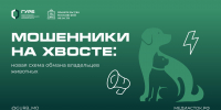 Жителей Подмосковья предупредили о мошенничестве с «лимитом домашних животных» - РТВ-Подмосковье