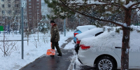 Снег растает на следующей неделе в Подмосковье из-за резкого потепления - Regions.Ru