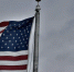 Посол США на Украине досрочно уволилась и готовится покинуть Киев - MosRegToday.Ru