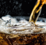 Coca-Cola зарегистрировала новую торговую марку - Regions.Ru