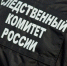 Зарубившую топором троих детей жительницу Канска отправят на психиатрическую экспертизу - MosRegToday.Ru