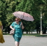 Аномальная жара продержится в Подмосковье три дня - Regions.Ru