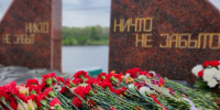 Учащихся Подмосковья пригласили на марафон «Знание.Первые» в честь юбилея Победы - Regions.Ru