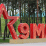Воробьев поручил подготовиться к 9 Мая в Подмосковье - Regions.Ru