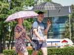 Летняя жара снова накрыла Московский регион