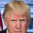 Трамп заявил о продвижении «хрупких» переговоров по Украине - MosRegToday.Ru
