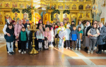 Поездка и Егорьевска в музей Победы